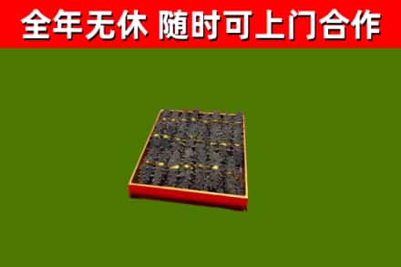 修水回收海参